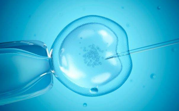 柳州47岁供卵试管：哪些因素对试管婴儿的成功率有直接影响？应该怎样做才能提高成功率？